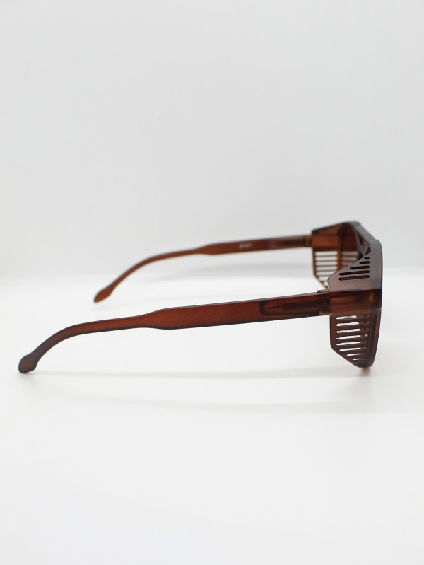 Lente de Sol Color Cafe